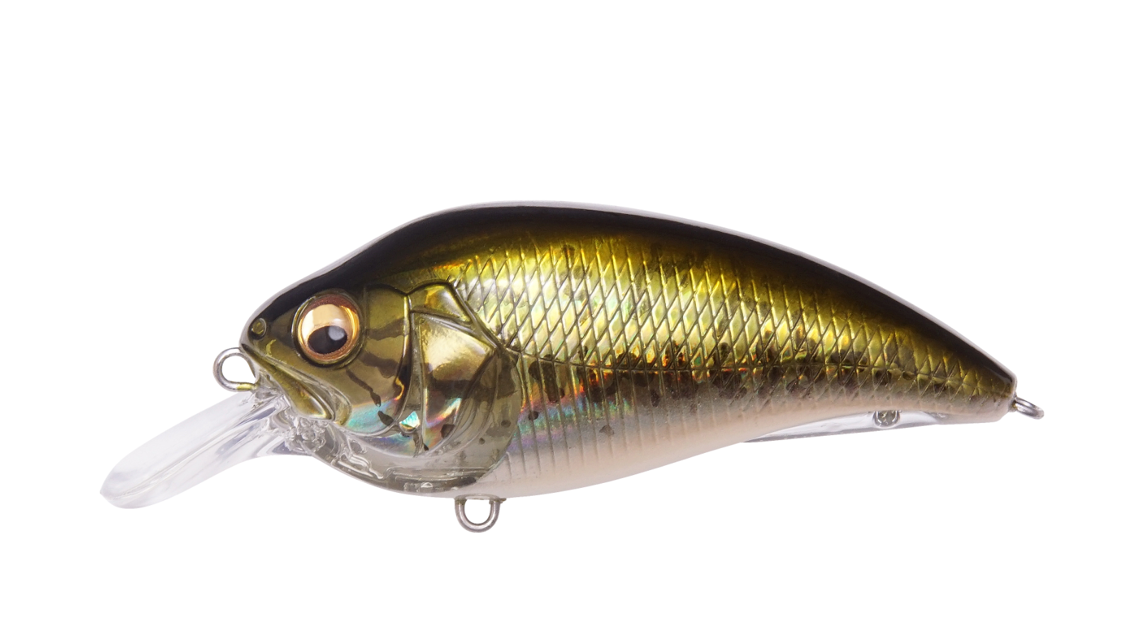 GG Bass