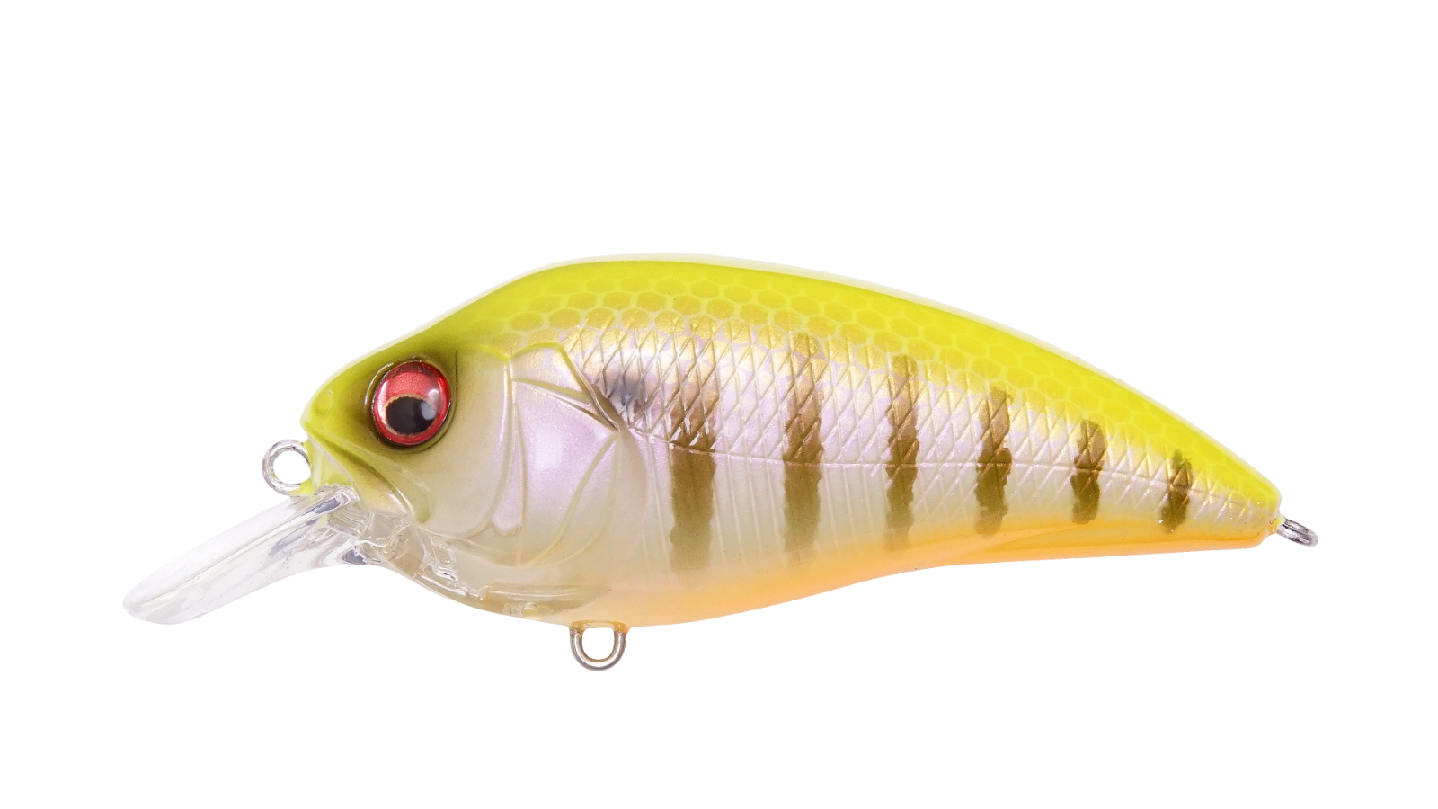 PM HOT GILL II