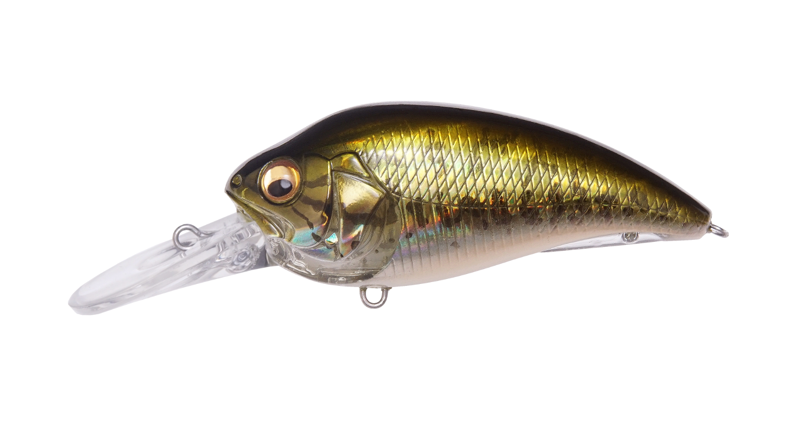 GG Bass